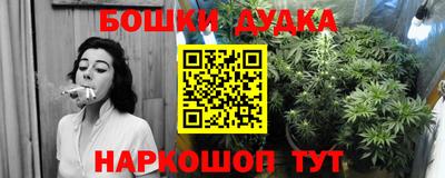 шишки Рыбинск