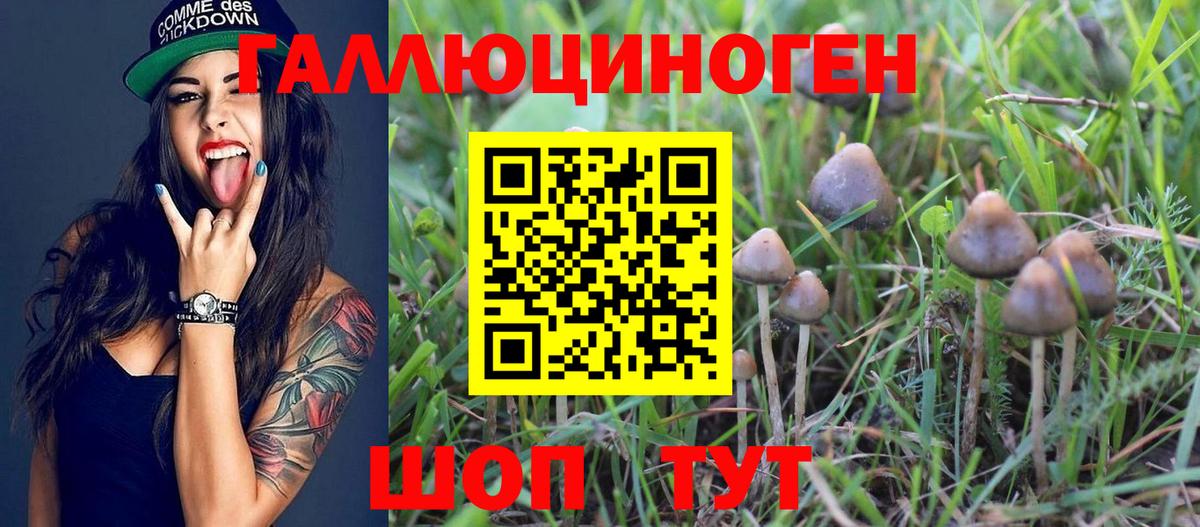 Псилоцибиновые грибы прущие грибы  Вход с VPN  купить наркотик  Якутск 